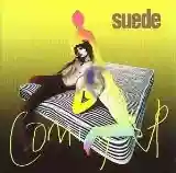 Suede: Coming Up