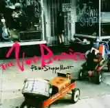 The Von Bondies: Pawn Shoppe Heart