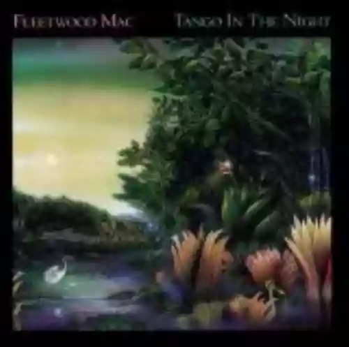 Cover Fleetwood Mac - Tango in the Night