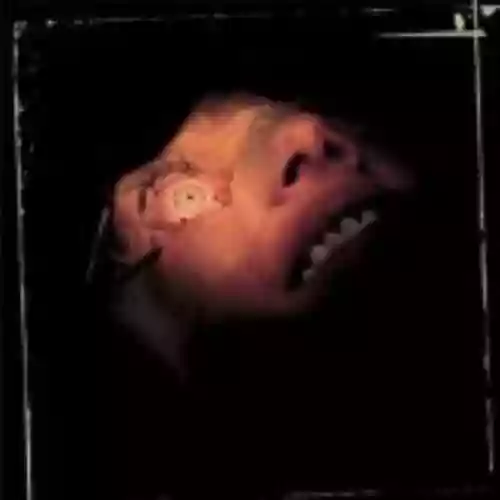 Cover di Anatomy Is Destiny