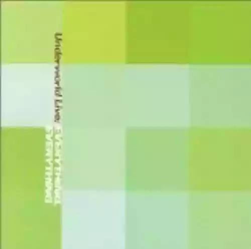 Cover Underworld - Everything, Everything