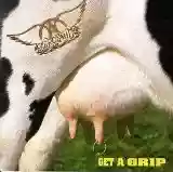 Aerosmith: Get A Grip