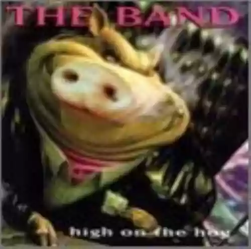 Cover The Band - High on the Hog