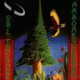 Ozric Tentacles: Arborescence