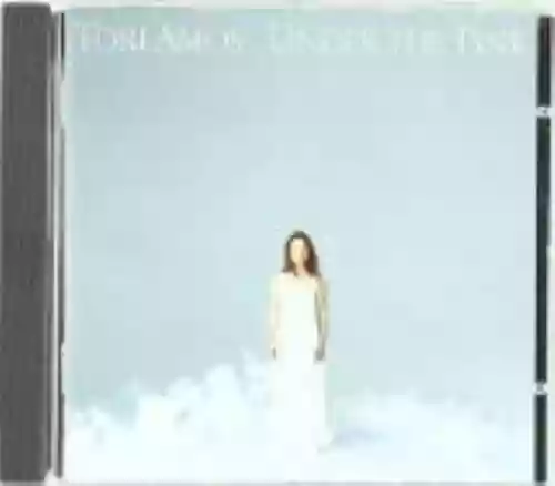 Cover di Under the Pink