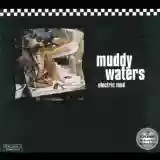 Muddy Waters: Electric Mud