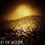 In The Woods...: Omnio