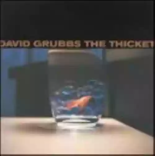 Cover di The Thicket