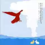Sufjan Stevens: Enjoy Your Rabbit