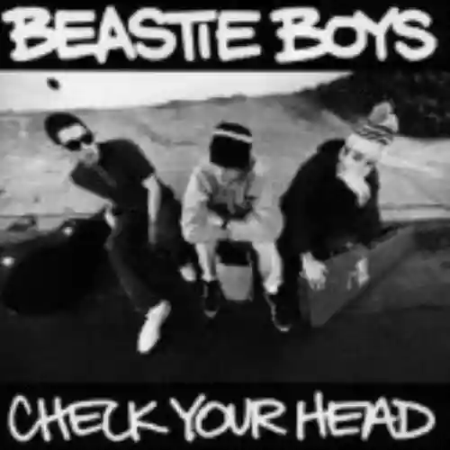 Cover Beastie Boys - Check Your Head