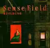Sense Field: Building