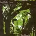 <b>Buffalo Tom</b> • Birdbrain