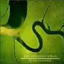 Dead Can Dance: The Serpent's Egg