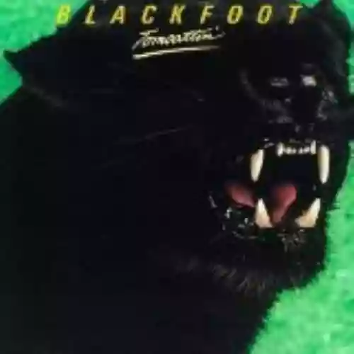 Cover di Tomcattin'