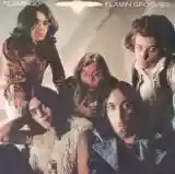 Flamin' Groovies: Flamingo