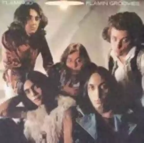 Cover Flamin' Groovies - Flamingo