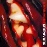 carnivore: carnivore