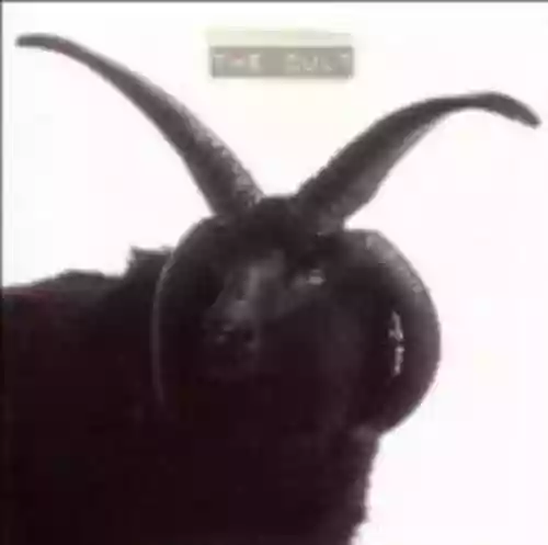 Cover di The Cult