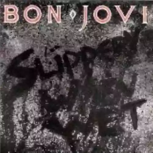 Cover di Slippery When Wet