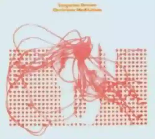 Cover di Electronic Meditation