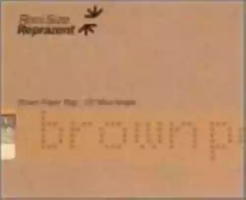 Cover Roni Size & Reprazent - Brown Paper Bag