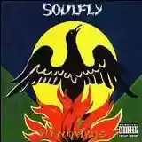 Soulfly: Primitive