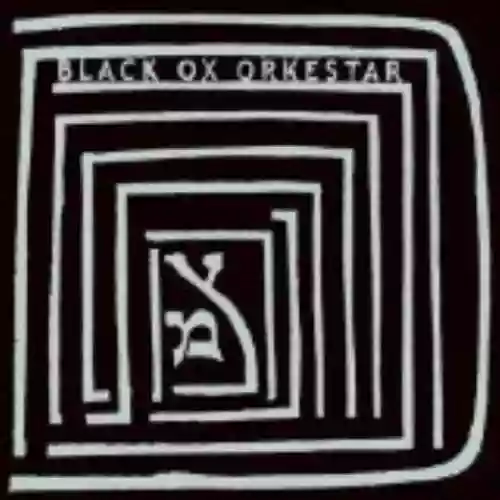 Cover Black Ox Orkestar - Ver tanzt?