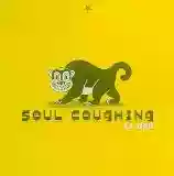 Soul Coughing: El Oso