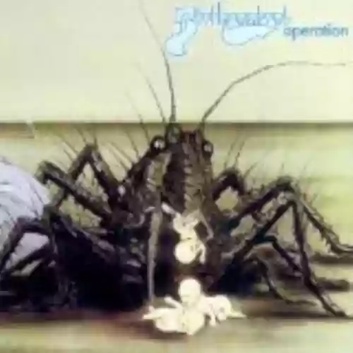 Cover Birth Control - Operation