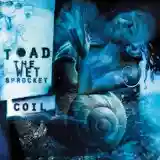 Toad the Wet Sprocket: Coil
