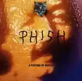 Phish: A Picture of Nectar