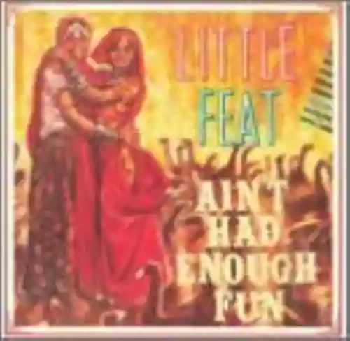 Cover di Ain't Had Enough Fun