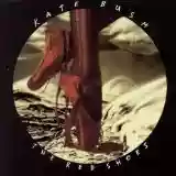 Kate Bush: The Red Shoes
