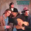 Hothouse Flowers: People