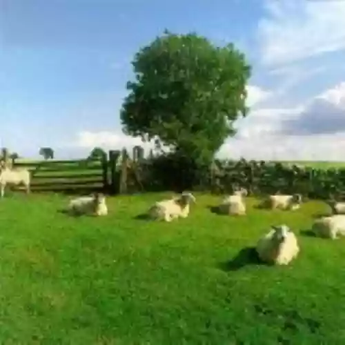 Cover The KLF - Chill Out