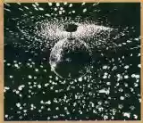 Neil Young: Mirror Ball