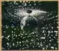 <b>Neil Young</b> • Mirror Ball
