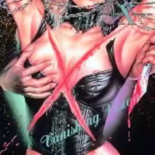 Cover X JAPAN - Vanishing Vision