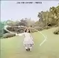 <b>Trees</b> • On the Shore