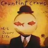 Counting Crows: This Desert Life