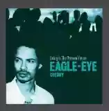 Eagle-Eye Cherry: Living in the Present Future