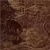 Agalloch: Of Stone, Wind, and Pillor