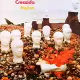 Cressida: Asylum