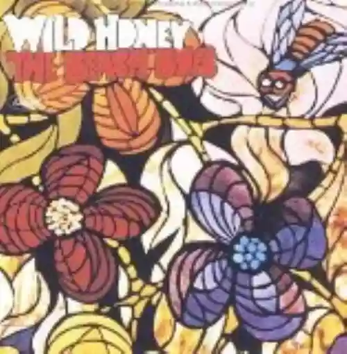 Cover di Wild Honey