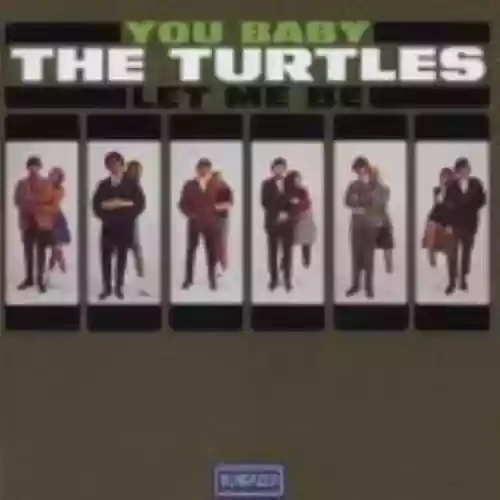 Cover The Turtles - You Baby