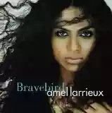 Amel Larrieux: Bravebird