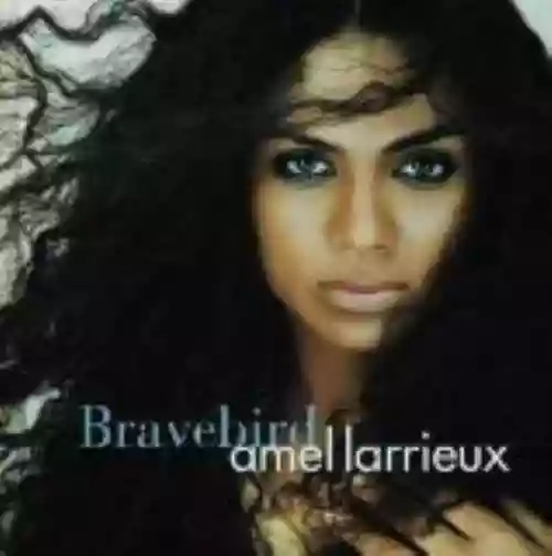 Cover di Bravebird