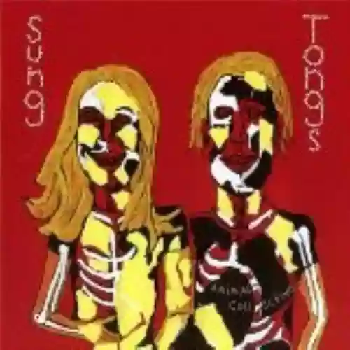 Cover Animal Collective - Sung Tongs