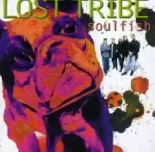 Cover di Soulfish