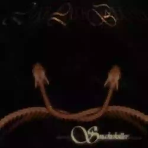 Cover di Snakekiller